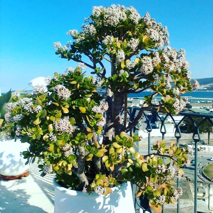 Summer House Tanger 외부 사진